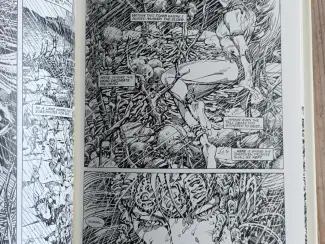 Engels Adastra in Africa