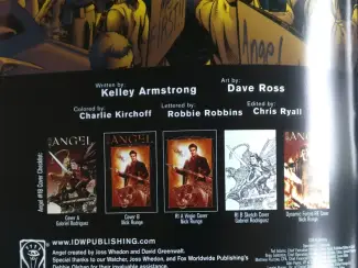 Overig Angel #18  After the Fall  ( RI-A Nick Runge Virgin Cover)