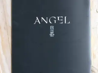 Overig Angel #18  After the Fall  ( RI-A Nick Runge Virgin Cover)