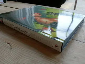 Illustratie boeken The Art of Top Cow  HC