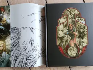 Illustratie boeken The Art of Top Cow  HC