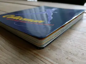 Illustratie boeken Catwoman: The Life and Times of a Feline Fatale