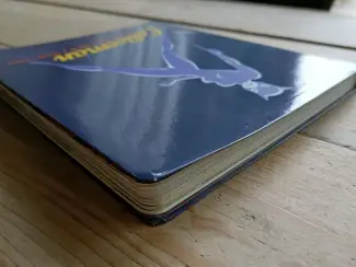 Illustratie boeken Catwoman: The Life and Times of a Feline Fatale