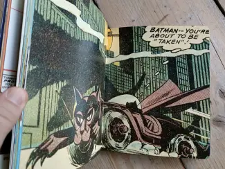 Illustratie boeken Catwoman: The Life and Times of a Feline Fatale