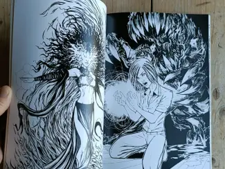 Illustratie boeken Figment and Flame - A Fantasy Artbook (signed)