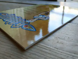 Fantasy Galaxa #1 - Spiegelblind