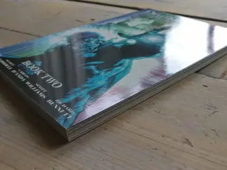 Overig Divine Right TPB #2