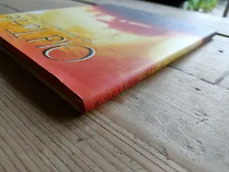 Engels Old Turtle: Questions of the Heart  HC