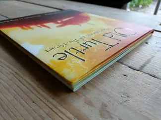 Engels Old Turtle: Questions of the Heart  HC