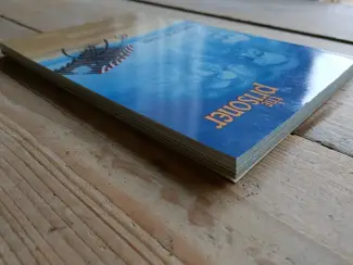 DC Comics The Prisoner