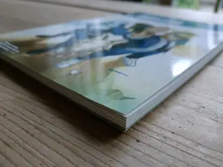 Overig Quantum and Woody -  The World's Worst Superhero Team  TPB