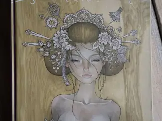 Hi-Fructose Collected Edition HC 2