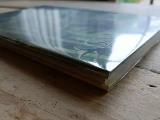 Marvel Comics Marvel Illustrated: Last of the Mohicans  HC