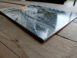 Historisch De torens van Schemerwoude #1 -  Babette