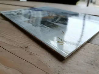 Historisch De torens van Schemerwoude #2 - Eloise van Grimbergen