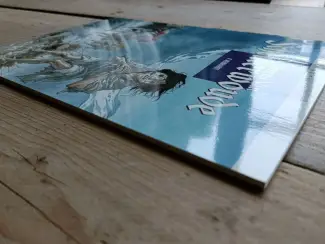 Historisch De torens van Schemerwoude #4 -  Reinhardt