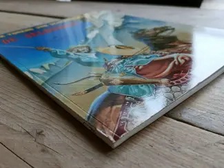 Historisch De torens van Schemerwoude #8 -  De Seldsjoek