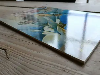 Historisch De torens van Schemerwoude #8 -  De Seldsjoek