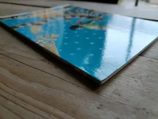 Historisch De torens van Schemerwoude #12 -  Rodrigo