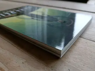 Engels Silverfin -  A James Bond Adventure