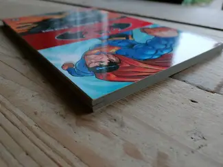 DC Comics Superman/Batman -  Public enemies  TPB