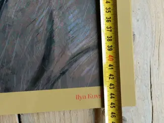 Overig set van 6 artprints The Witcher: Ronin