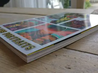 Marvel Comics X-Men First Class- Class Portraits TPB