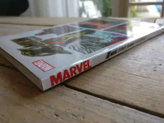 Marvel Comics X-Men First Class- Class Portraits TPB