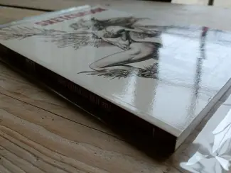 Illustratie boeken Sketchbook Boris Vallejo and Julie Bell