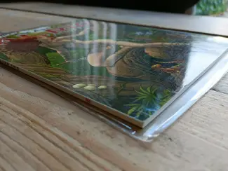 Illustratie boeken Artbook The Art of Al Rio  #2