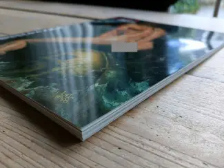 Illustratie boeken Artbook The Art of Julie Bell