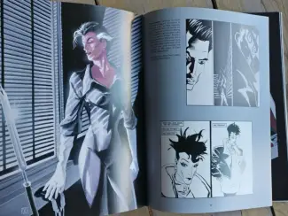 Illustratie boeken The Art of Matt Wagner's Grendel