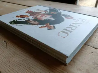 Illustratie boeken The Art of Enric  (Kickstarter exemplaar)