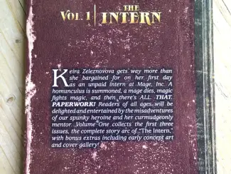 Overig Mage, Inc.: The Intern Book One TPB