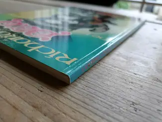 Fantasy Den  #6  -   De prijs der herinnering  SC