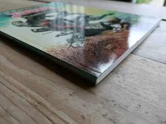 Fantasy Den  #6  -   De prijs der herinnering  SC