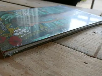 Fantasy Het lange wachten