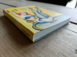 Illustratie boeken Artbook: The Little book of Pin-Up; Driben