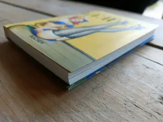 Illustratie boeken Artbook: The Little book of Pin-Up; Driben