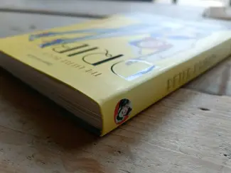 Illustratie boeken Artbook: The Little book of Pin-Up; Driben