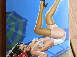 Illustratie boeken Artbook: The Little book of Pin-Up; Driben