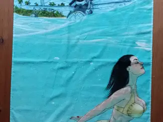 Badhanddoek Angels Wings