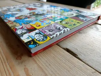 Image Comics Madman 20th Anniversary Monster  XL-HC  (Beschadigd)