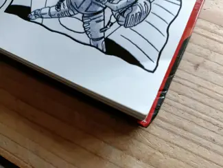 Image Comics Madman 20th Anniversary Monster  XL-HC  (Beschadigd)