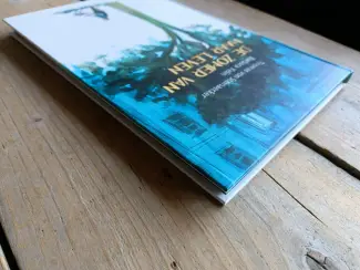 Fantasy De zomer van haar leven