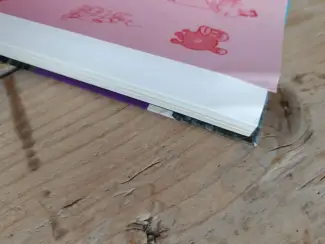 Illustratie boeken Draw & Shoot 2