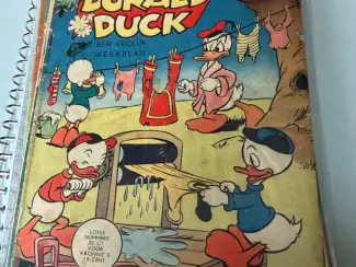 Cartoons Donald Duck 1955