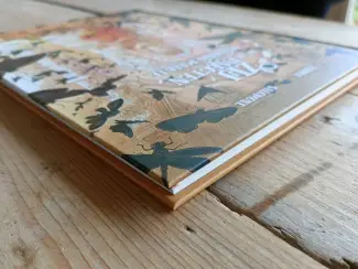 Graphic Novels Zij die de insecten gelukkig maakte