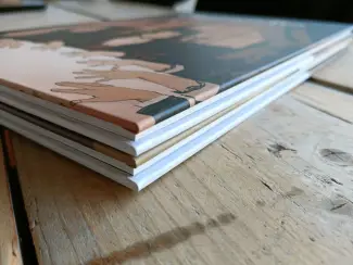 Graphic Novels De Gezusters Fox  (compleet)