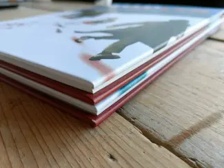 Graphic Novels Ellis Island  (compleet)